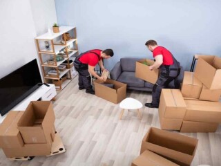 Discover the Best Packers and Movers in Thirumangalam