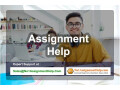 custom-assignment-help-by-professionals-at-no1assignmenthelpcom-small-0