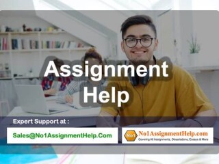 Custom Assignment Help By Professionals At No1AssignmentHelp.Com