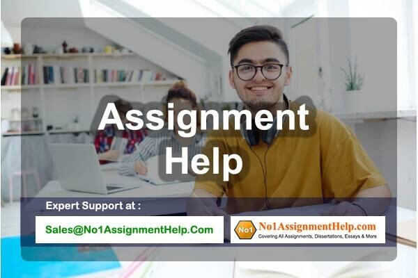 custom-assignment-help-by-professionals-at-no1assignmenthelpcom-big-0
