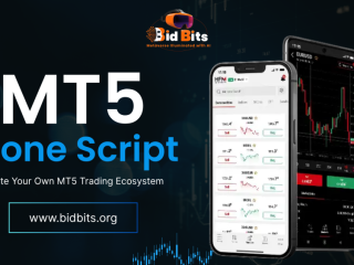 mt5-clone-script-provider-in-usa