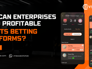 sports-betting-platform-development-company-hivelance