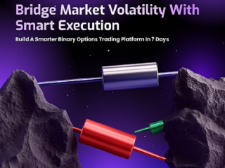 best-binary-option-trading-software-for-startups-and-enterprises