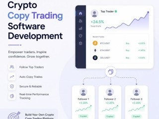 looking-for-the-best-crypto-copy-trading-software-development-company